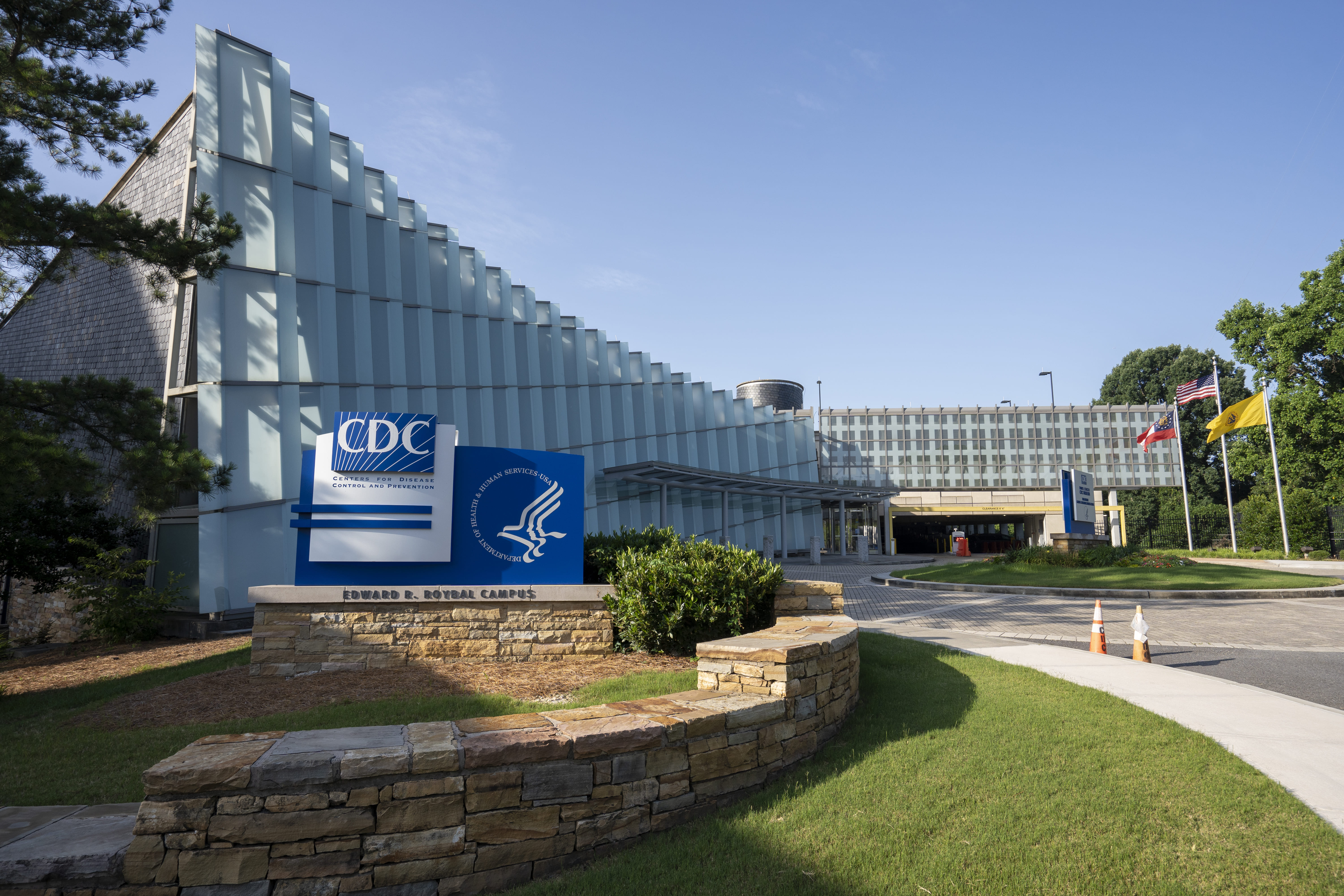 What role does the CDC play in dentistry?