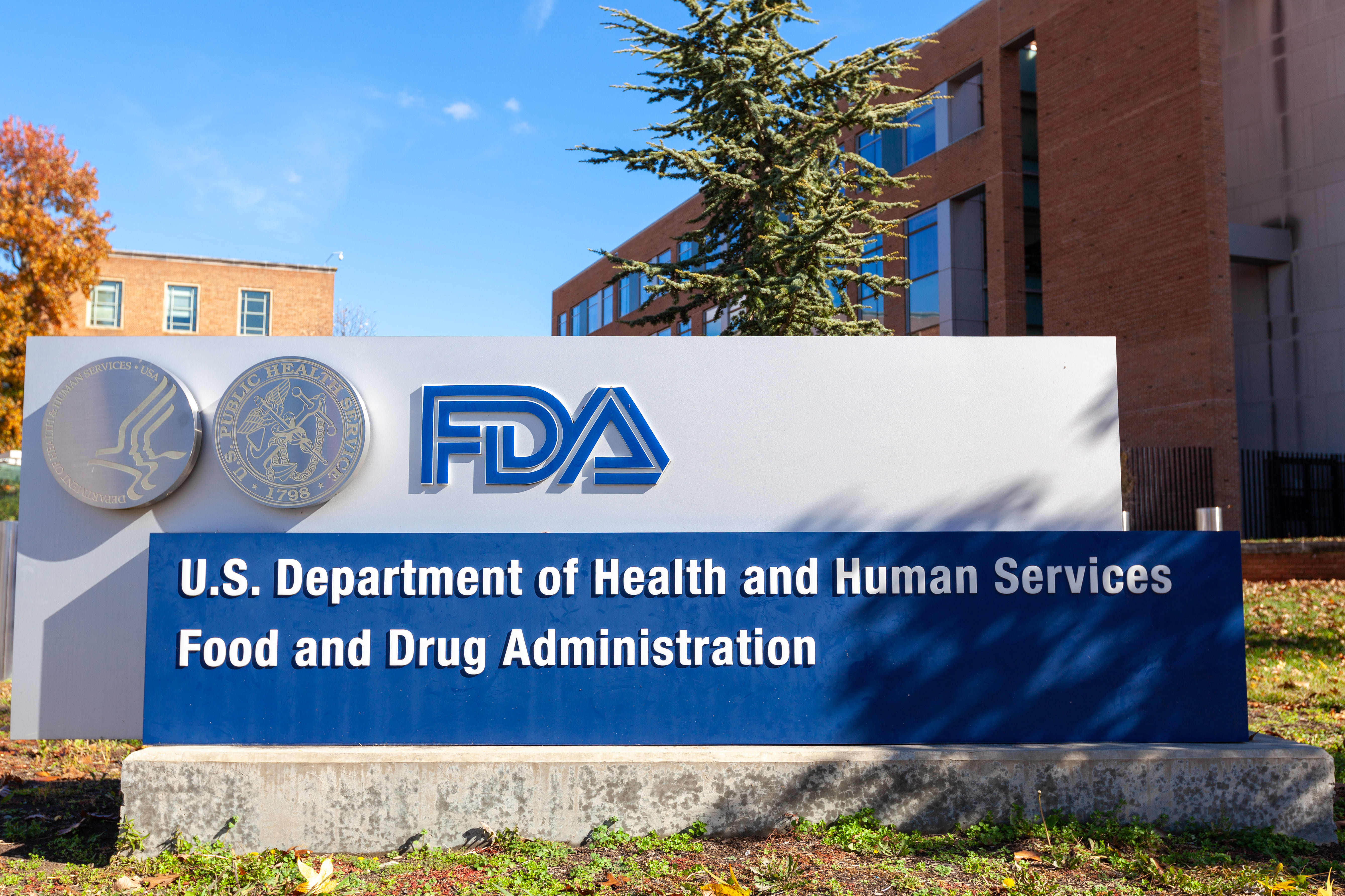 WHAT ROLE DOES THE FDA PLAY IN DENTISTRY?